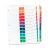 12 Tab Divider Template Avery 1 12 Tab 11 Quot X 8 5 Quot Contemporary Multicolor Dividers