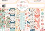 12 X 12 Cardstock Paper 12 X 12 Paper Pack Early Bird American Crafts Crafts