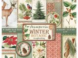 12 X 12 Cardstock Paper Stamperia Winter Botanic Card Stock Stamperia Christmas