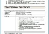 2 Year Experience Resume format In Word Over 10000 Cv and Resume Samples with Free Download 2