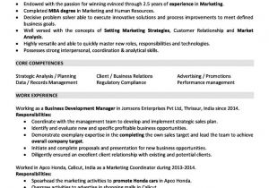 2 Year Experience Resume format In Word Sales and Marketing Resume Sample for 2 Years Experience