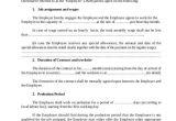 3 Month Employment Contract Template 7 Employment Contract form Samples Free Sample Example