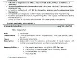 5 Years Experience software Engineer Resume Resume format for 6 Months Experienced software Engineer