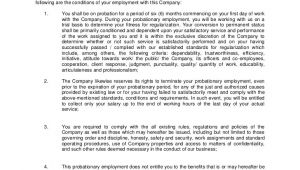 6 Month Employment Contract Template Probationary Employment Contract Sample