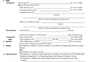 6 Month Employment Contract Template Sample Employment Contract Sample Contracts Pinterest