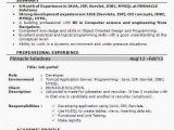 6 Months Experience Resume Sample In software Engineer 6 Month Experience Resume for software Developer