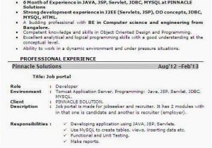 6 Months Experience Resume Sample In software Engineer 6 Month Experience Resume for software Developer
