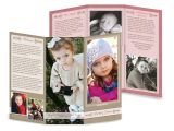 8.5×11 Tri Fold Brochure Template Tri Fold Brochure 8 5×11 Raspberry Cream ashedesign