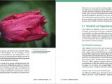 A National Flower or Plant Cue Card Nikon D5500 D5600 Fur Bessere Fotos Von Anfang An Buch