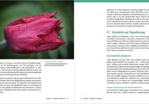 A National Flower or Plant Cue Card Nikon D5500 D5600 Fur Bessere Fotos Von Anfang An Buch