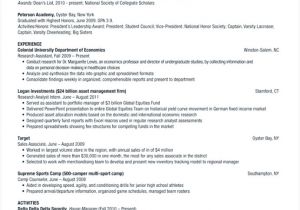 A Professional Resume Font 5 Resume format Font Gdyger Free Samples Examples