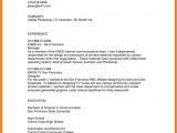 A Professional Resume Font 7 8 Correct Font Size for Resume Mysafetgloves Com
