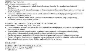 A Professional Resume Objective How to Write A Career Objective 15 Resume Objective