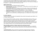 A Professional Resume Summary 9 Resume Objective Samples Pdf Word