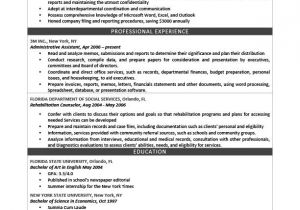 A Professional Resume Template How to Write A Professional Profile Resume Genius