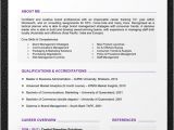 A Professional Resume Template Professional Resume Template Download Schedule Template Free