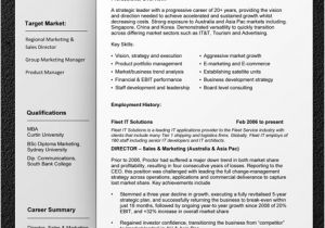 A Professional Resume Template Professional Resume Template Resume Cv