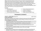 A Professional Resume Template Professional Resume Templates Resume Samples Resume