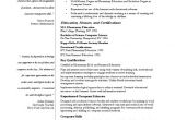 A Professional Resume Template Professional Teaching Job Resume Template for All Teachers