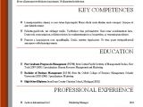 A Professional Resume Template Word Resume Templates 2016