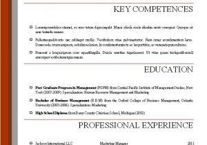 A Professional Resume Template Word Resume Templates 2016
