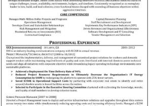 A Professional Resume Writer Professional Resume Writers Resume Cv