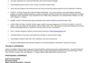 A Professional Resume Writer Professional Technical Writer Resume Template
