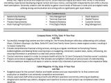 A Professional Resume Writer Professional Writer and Editor Resume Example Zipjob