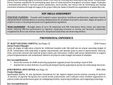 A Professional Resume Writer Project Manager Resume Sample and Writing Guide Resume