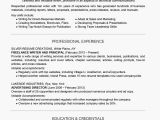 A Professional Resume Writer Tips for Crafting A Professional Writer Resume