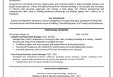A Professional Resume Writer Useful Tips for Professional Level Resume Writing Resume