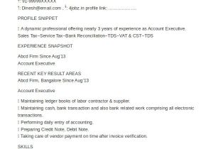 Account Executive Resume format Word 25 Free Executive Resume Templates Pdf Doc Free