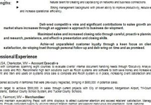 Account Executive Resume format Word Account Executive Resume Details format In Word Free Download