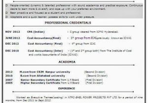Account Fresher Resume format Cost Accountant Fresher Resume