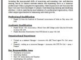 Accountant Resume format Word Over 10000 Cv and Resume Samples with Free Download
