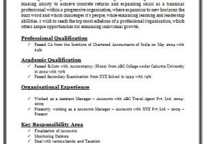 Accountant Resume format Word Over 10000 Cv and Resume Samples with Free Download