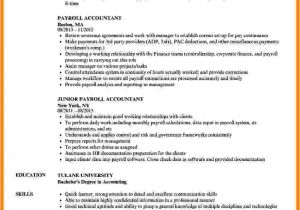Accountant Resume Sample 5 Payroll Accountant Resume Technician Salary Slip