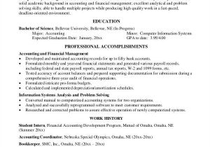Accountant Sample Resume Pdf 40 Free Accountant Resume Templates Pdf Doc Free
