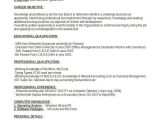 Accounts Basic Resume 40 Basic Finance Resume Templates Pdf Doc Free