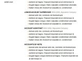 Accounts Basic Resume 70 Basic Resume Templates Pdf Doc Psd Free