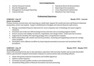 Accounts Basic Resume Accounting Auditing Bookkeeping Resume Samples
