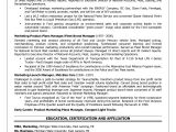 Administrative Consultant Business Plan Template Director Of Business Planning Resume