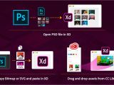 Adobe Creative Suite Graphics Card Requirements Bring assets From Other Applications Into Adobe Xd