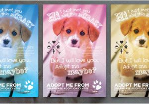 Adopt Me Flyer Template 10 Cool Flyer Templates for Pet Design Freebies