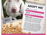 Adopt Me Flyer Template 36 Best Flyer Ideas Images On Pinterest Kitty Cats