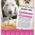 Adopt Me Flyer Template 36 Best Flyer Ideas Images On Pinterest Kitty Cats