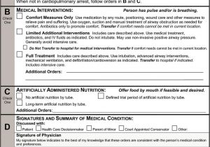 Advance Care Directive Template Advance Care Directive form Guide form Resume Examples