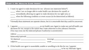 Advanced Directive Template 10 Advance Directive forms Samples Examples format