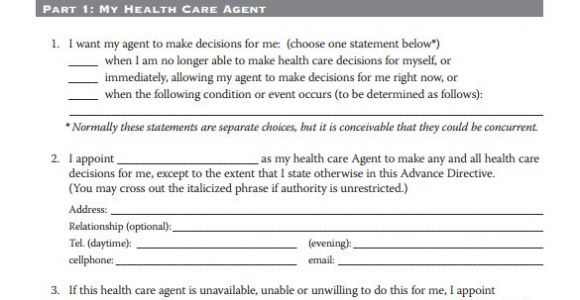 Advanced Directive Template 10 Advance Directive forms Samples Examples format