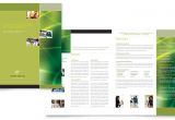 Advertising Pamphlet Template Internet Marketing Brochure Template Word Publisher
